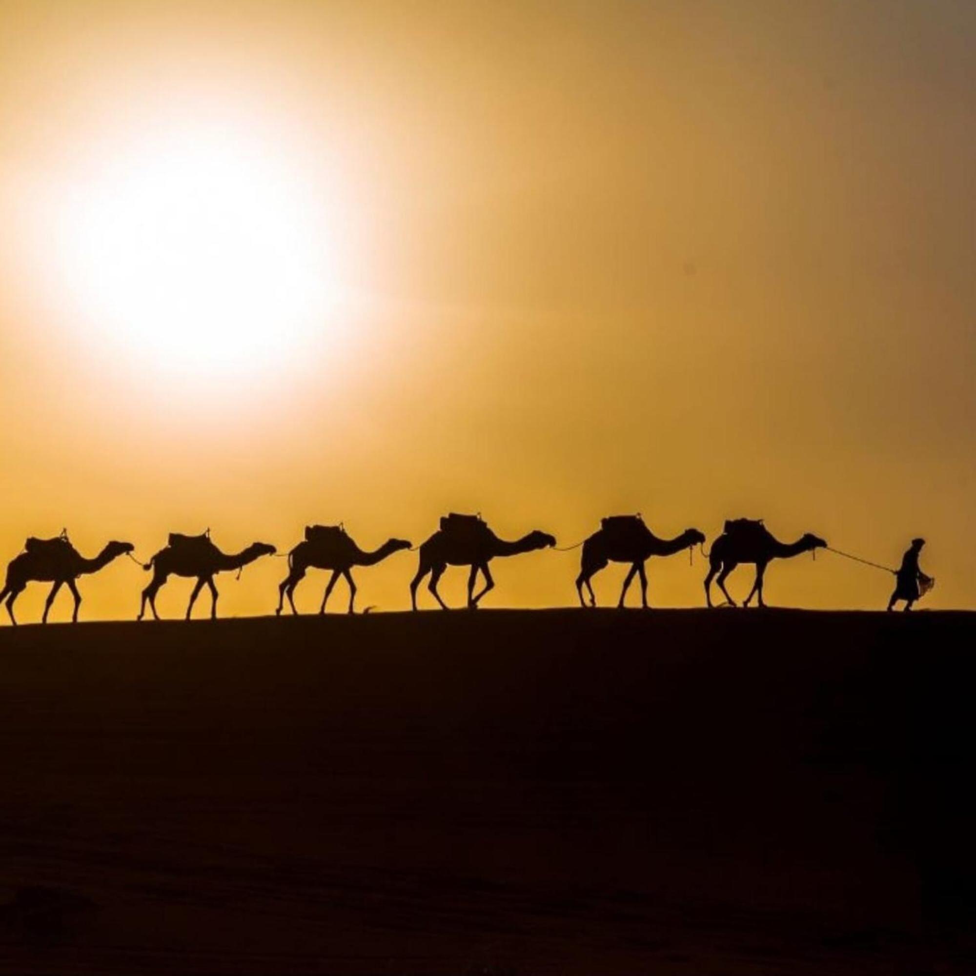 Отель Unique Sahara Camp Мерзуга Экстерьер фото