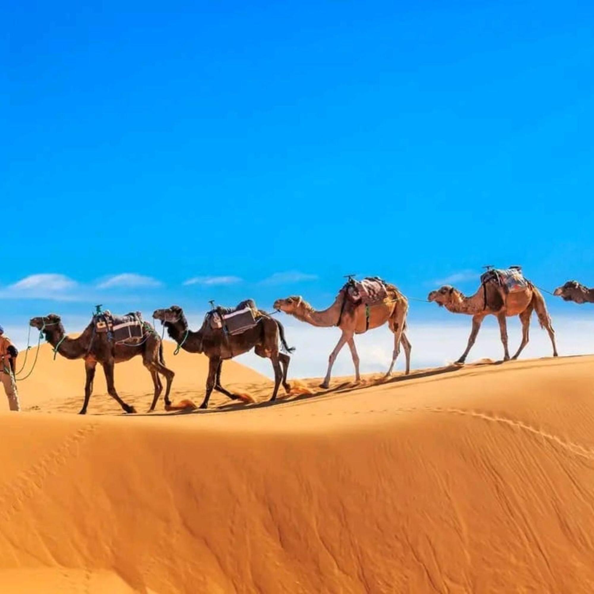 Отель Unique Sahara Camp Мерзуга Экстерьер фото